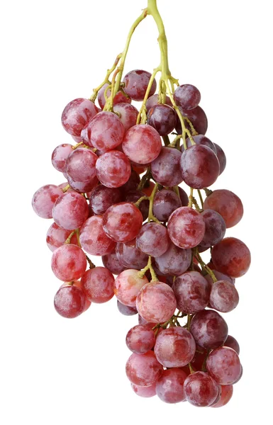 stock image Grapes cluster