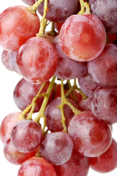 Кластер винограда — стоковое фото