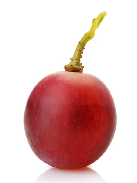 Bagas de uvas vermelhas close-up — Fotografia de Stock