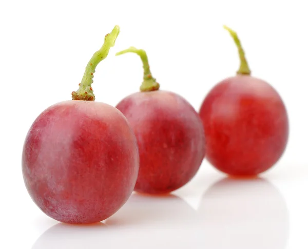 Três bagas de uvas vermelhas ao lado — Fotografia de Stock