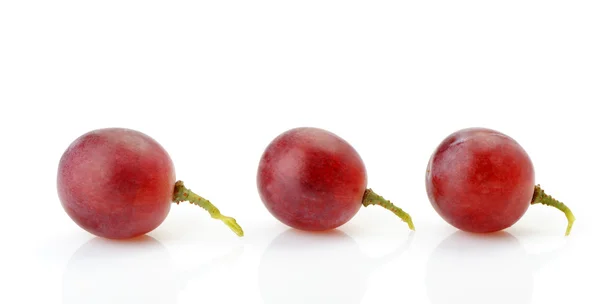 Drei Beeren roter Trauben nebeneinander — Stockfoto