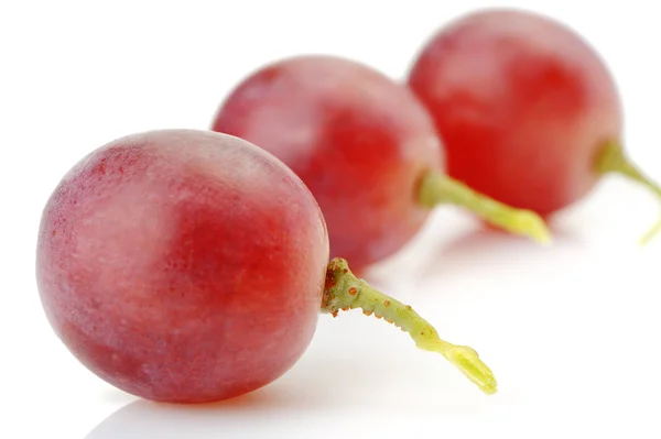 Drie bessen van rode druiven op de hoogte — Stockfoto