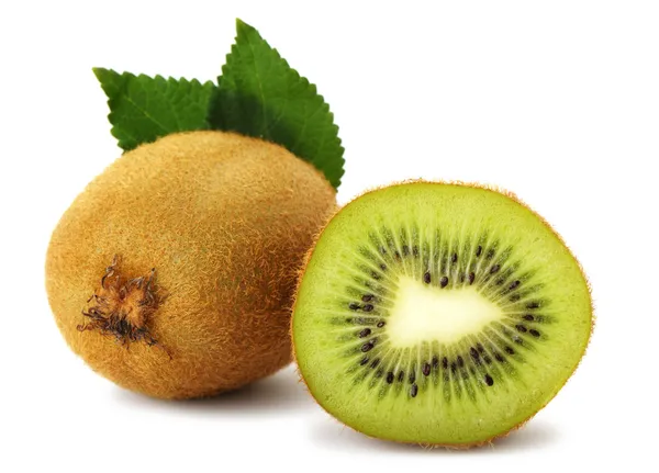 Stock image Section kiwi fruit