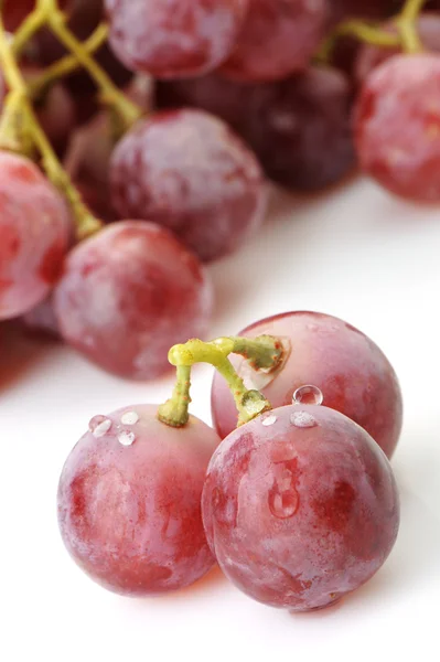 stock image Grapes