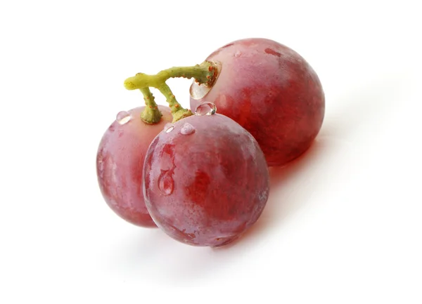 Tre bacche di uva rossa da vicino — Foto Stock