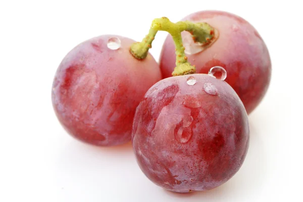 Tre bacche di uva rossa da vicino — Foto Stock