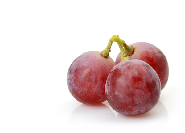 Tres bayas de uvas rojas de cerca — Foto de Stock