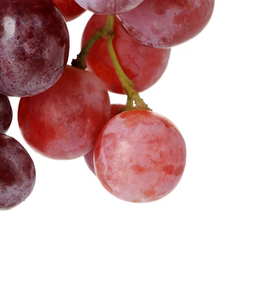 stock image Grapes cluster