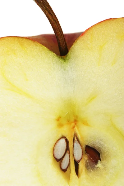 Texture cut an apple Stock Image