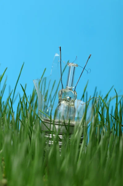 Разбитая лампа в траве — стоковое фото
