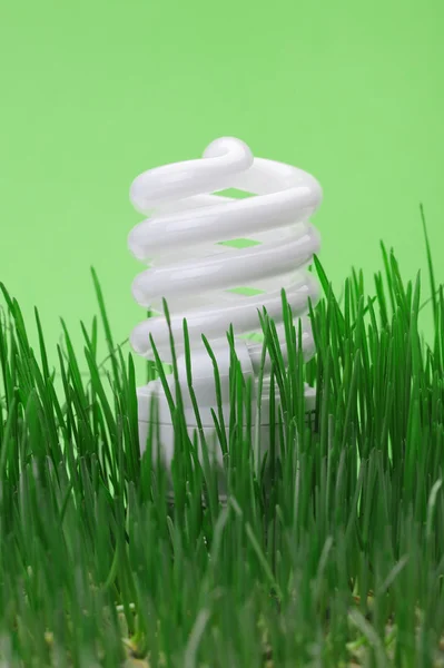 Bombilla fluorescente compacta de bajo consumo — Foto de Stock