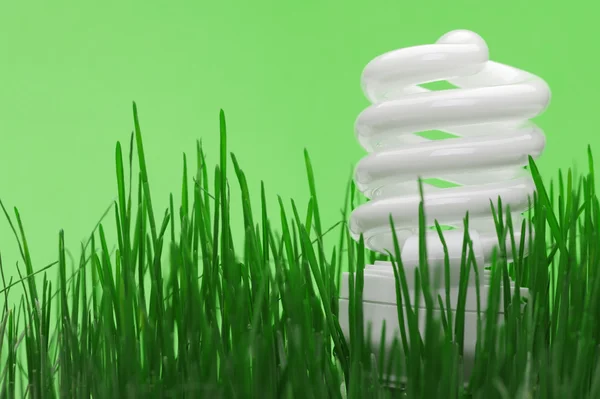 Lampadina fluorescente compatta a risparmio energetico — Foto Stock