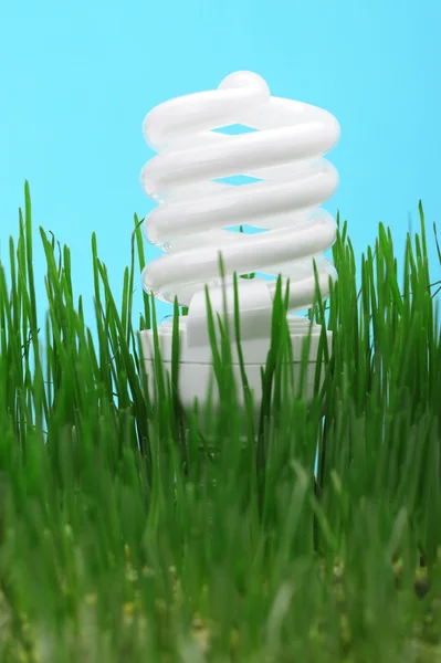 Energisparande kompakt fluorescerande glödlampa — Stockfoto