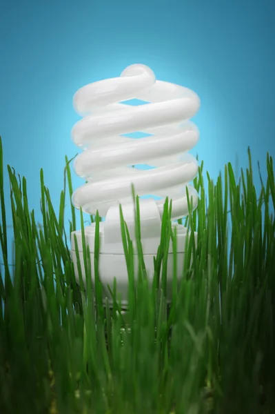 Енергозберігаюча компактна люмінесцентна лампа — стокове фото