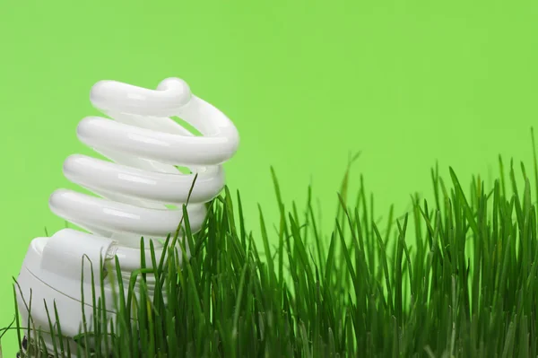 Energooszczędne Kompaktowe żarówki fluorescencyjne — Zdjęcie stockowe