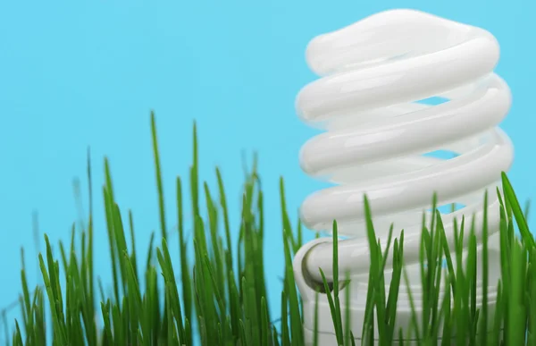 Energiebesparing compacte fluorescerende lamp — Stockfoto