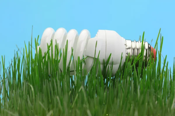 Lâmpada fluorescente compacta de poupança de energia — Fotografia de Stock