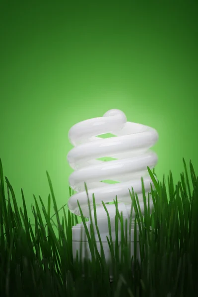 Energy saving compact fluorescent lightbulb — Stock Photo, Image