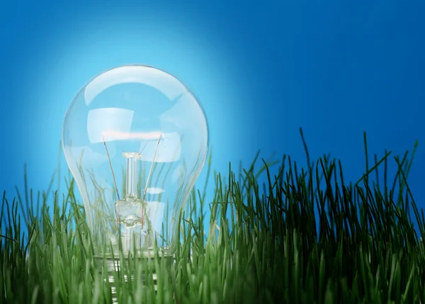 Shone electric lamp in a grass — Stock Photo, Image
