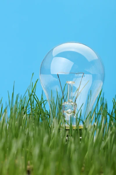 Elektrische lamp in een gras — Stockfoto