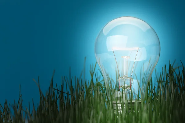 Leuchtete die elektrische Lampe im Gras — Stockfoto