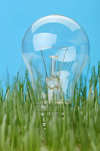 잔디에 전기 램프 — 스톡 사진