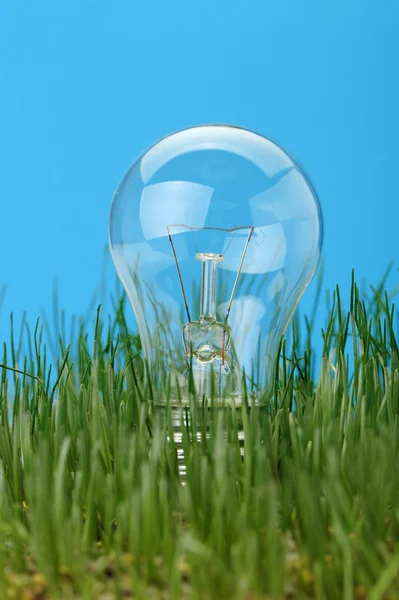 Elektrisk lampa i ett gräs — Stockfoto