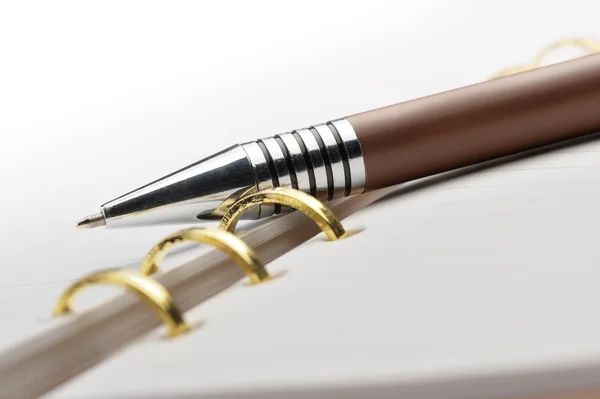 Taccuino aperto con rilegatura in rame ed elegante penna — Foto Stock
