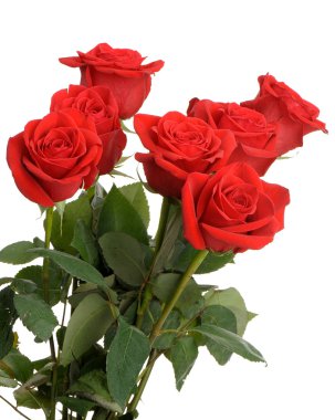Bouquet of red roses clipart