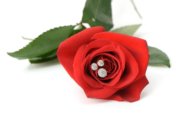 Червона троянда з кільцем з коштовностями — стокове фото