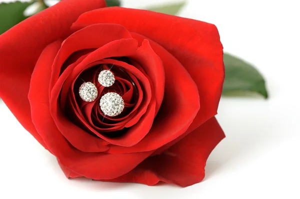 Κόκκινο τριαντάφυλλο με ένα δαχτυλίδι με κοσμήματα — Φωτογραφία Αρχείου