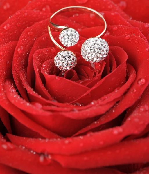 Rosa roja con un anillo con joyas y gotas de agua — Foto de Stock