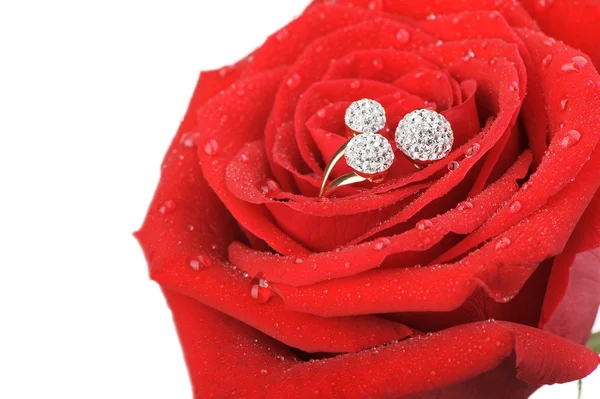 Červená růže s kroužkem s drahokamy a kapky vody — Stock fotografie