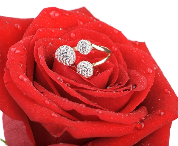 Rosa roja con un anillo con joyas y gotas de agua —  Fotos de Stock