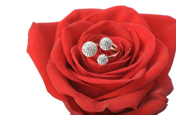 Κόκκινο τριαντάφυλλο με ένα δαχτυλίδι με κοσμήματα — Φωτογραφία Αρχείου