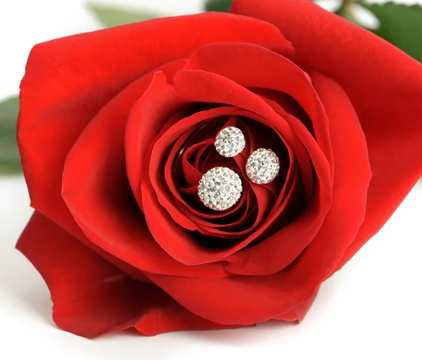 Red rose with a ring with jewels closeup — Stock Photo, Image