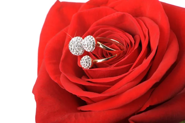 Röd ros med en ring med juveler — Stockfoto
