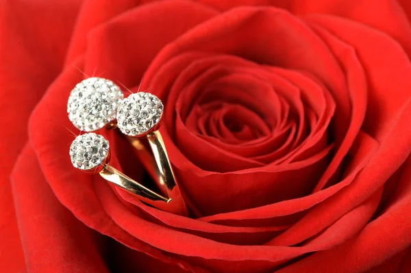 Красная роза с кольцом с драгоценностями — стоковое фото