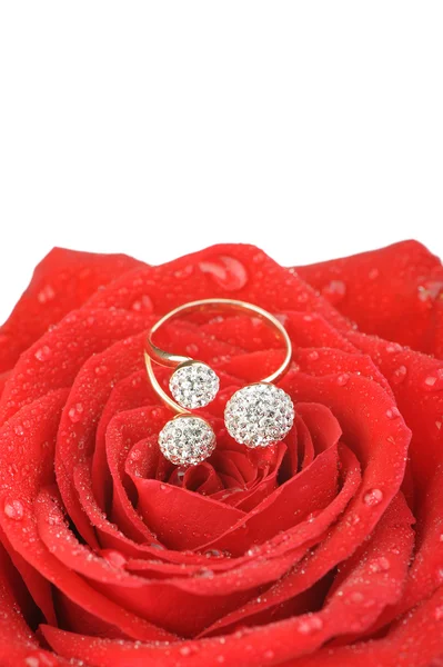 Rode roos met een ring met juwelen en waterdruppels — Stockfoto