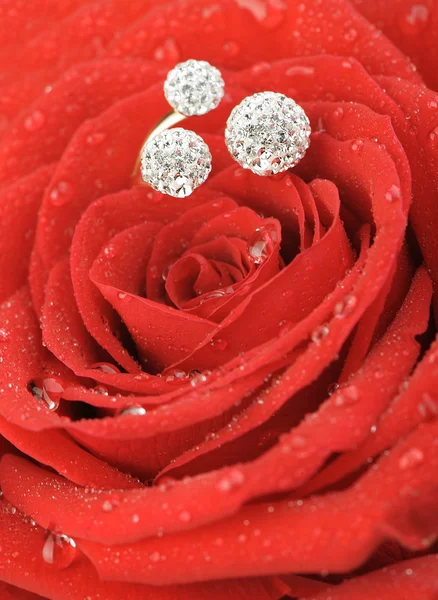 Červená růže s kroužkem s drahokamy a kapky vody — Stock fotografie
