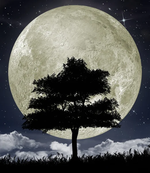 Silhouette eines Baumes gegen den großen Mond — Stockfoto