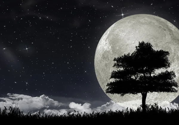 Silhouette di un albero contro la luna grande — Foto Stock