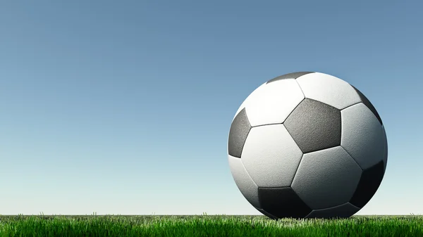 Stock image Soccer a ball on a green grass