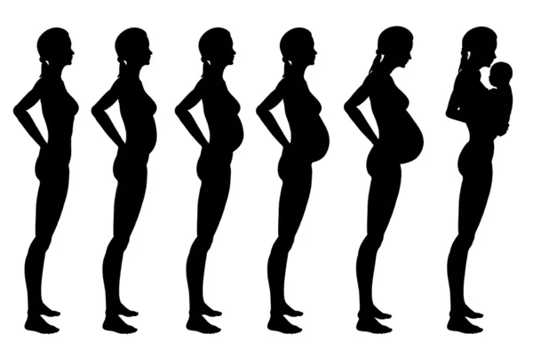 stock image Stages of pregnancy of the woman