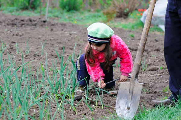 stock image The little girl works in the garden