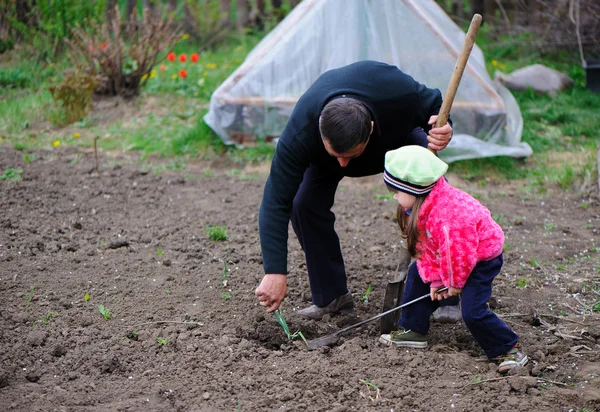 Маленькая девочка работает в саду — стоковое фото