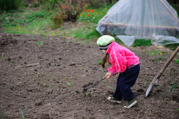 Het kleine meisje werkt in de tuin — Stockfoto