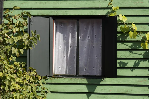 독일, 유럽에서에서 녹색 여름 집 — 스톡 사진