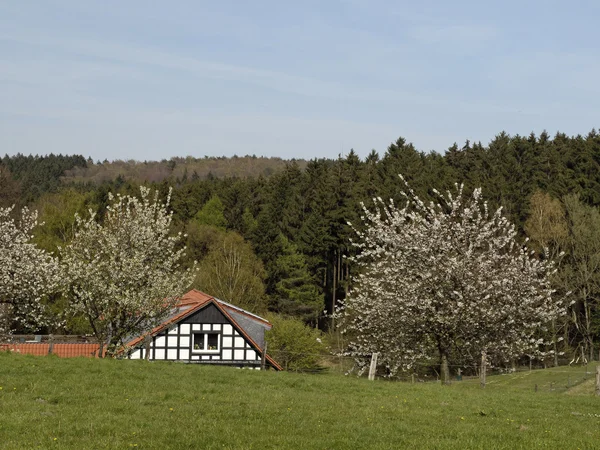Casa de entramado de madera en Hagen. Baja Sajonia, Alemania — Foto de Stock