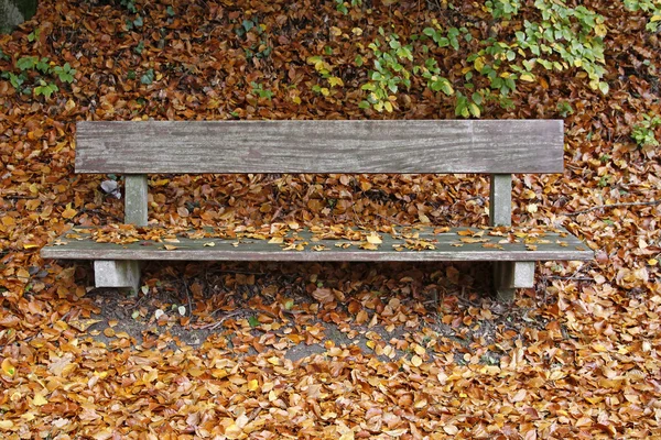 Bench with leaves in autumn, Lower Saxony, Germany, Europe — Stock Photo, Image